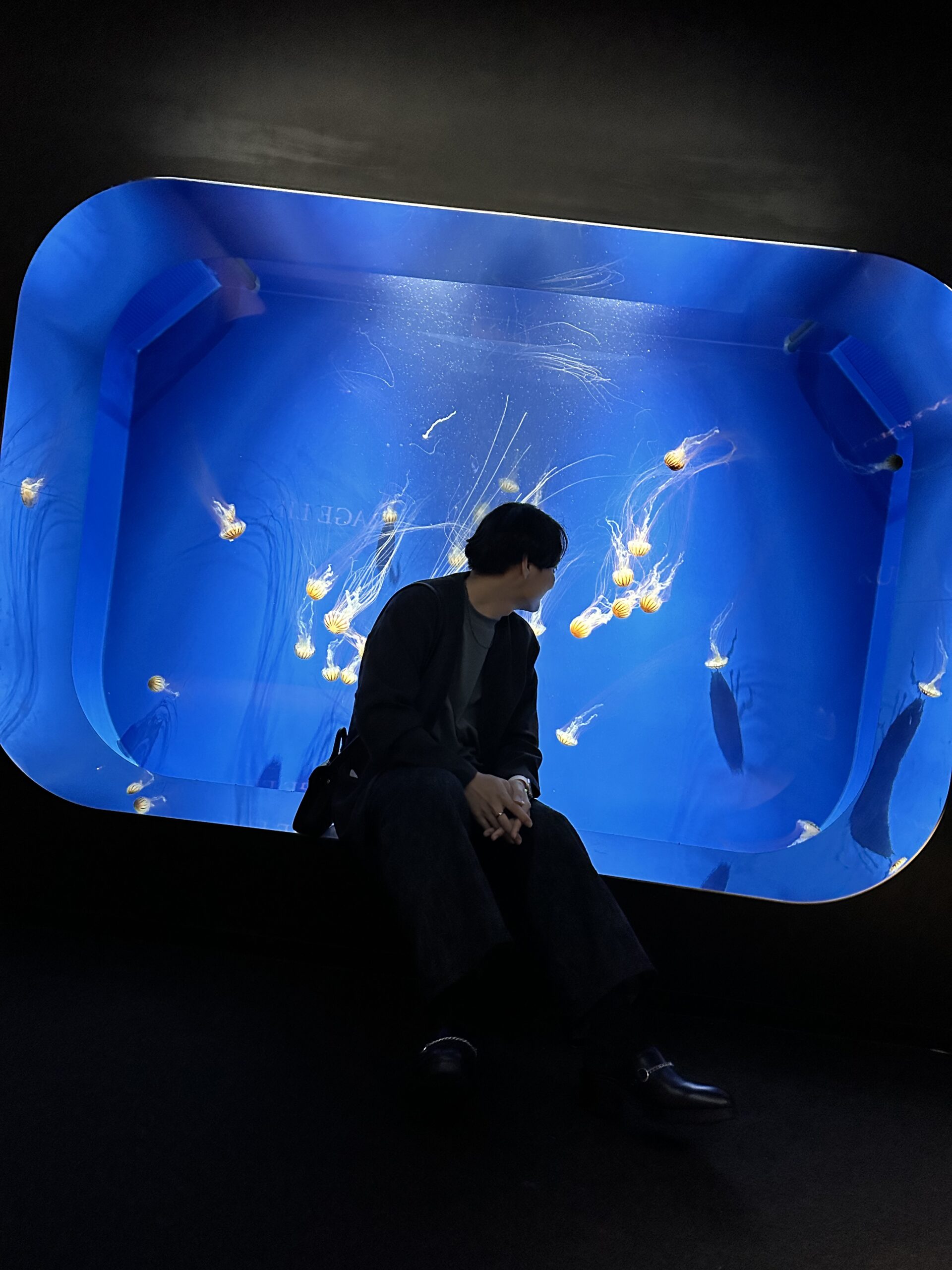 『てと』のことを知らないあなたへ【2025年版】
